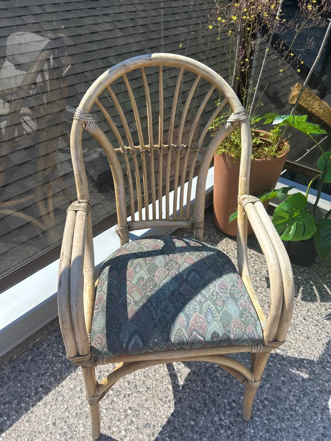 Rattan Chair 🪑 with Floral Cushion thumbnail