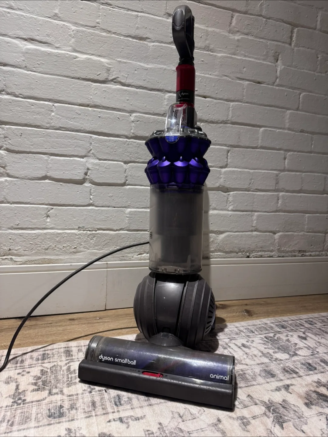 Dyson Small Ball Animal Vacuum thumbnail