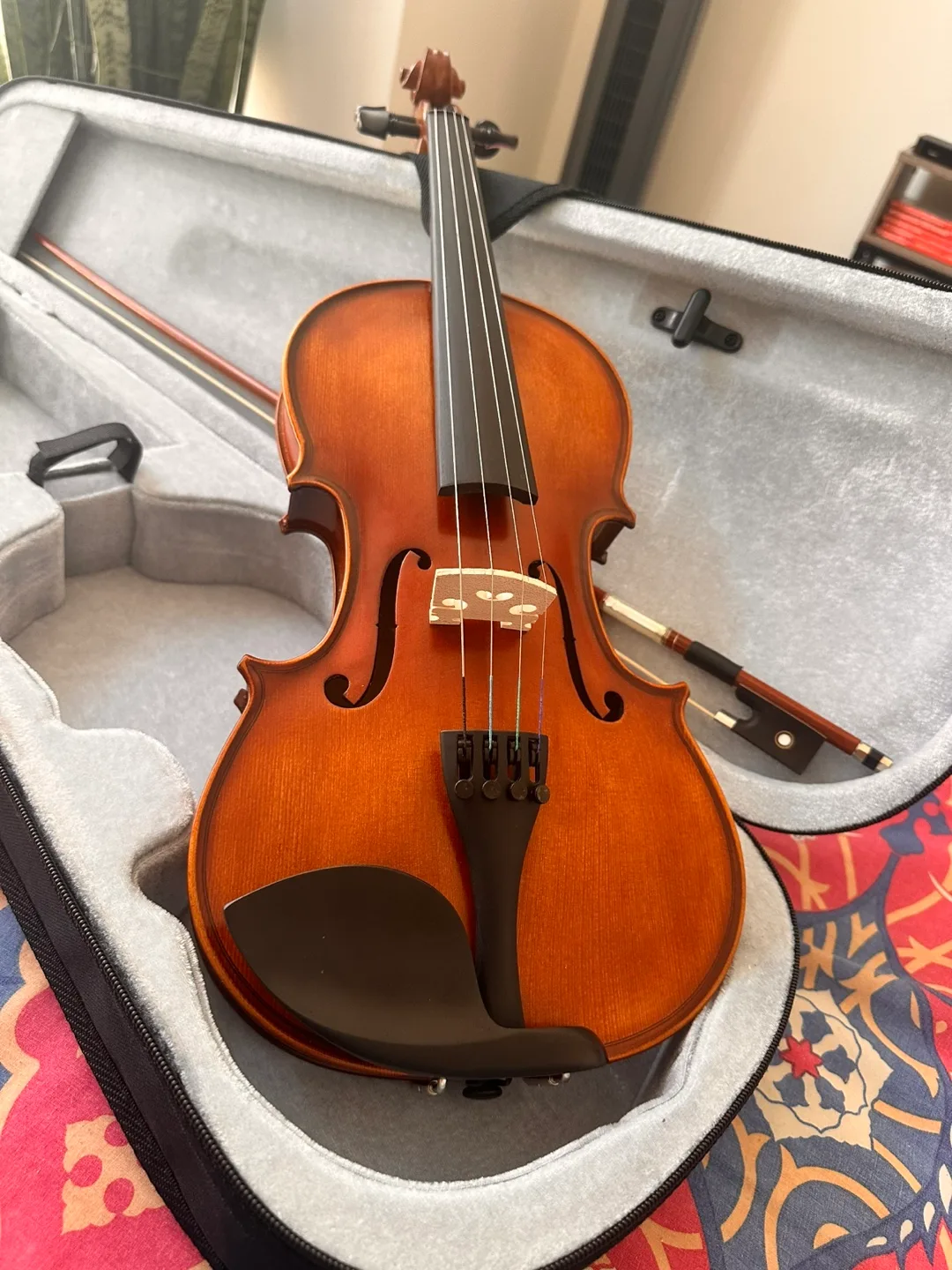Violin with Case and Bow image indicator(3)