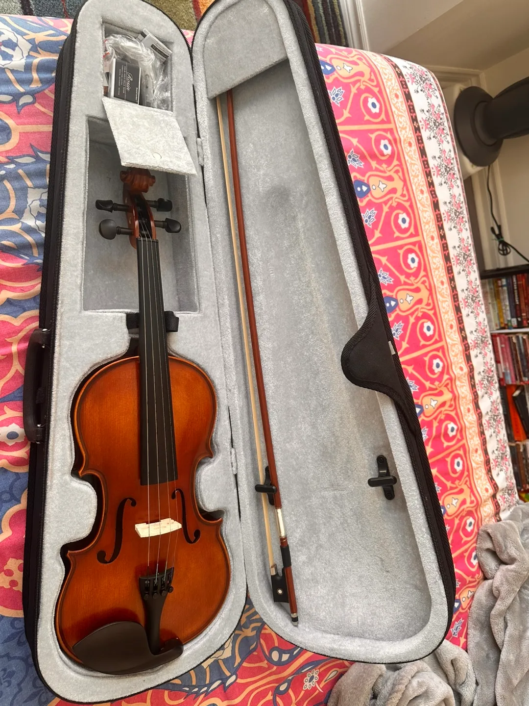 Violin with Case and Bow image indicator(2)