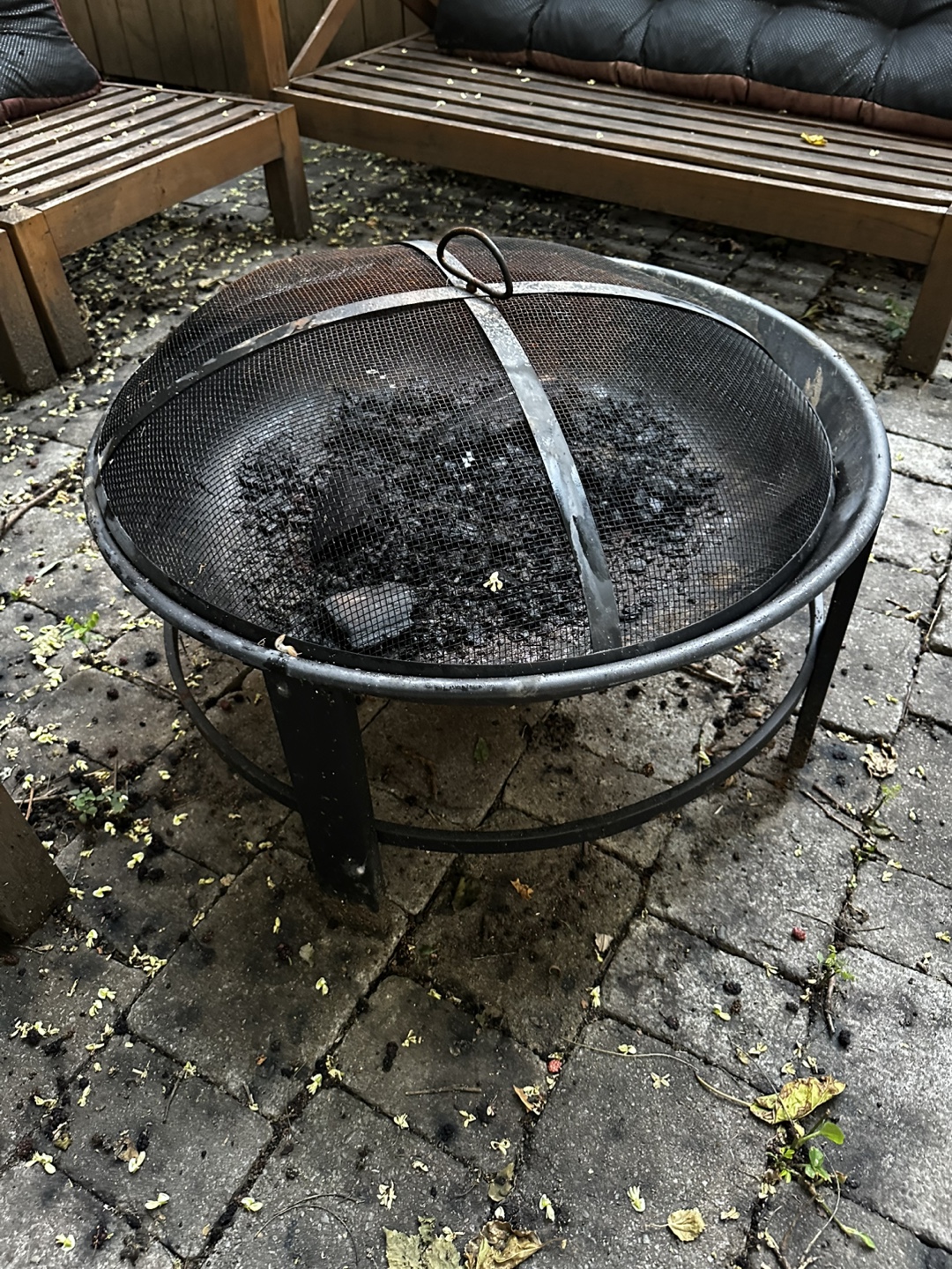 Fire Pit with Cover & Wood