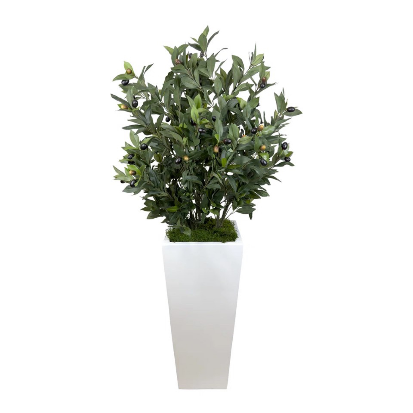 Faux olive tree in fiberstone planter - photo 4