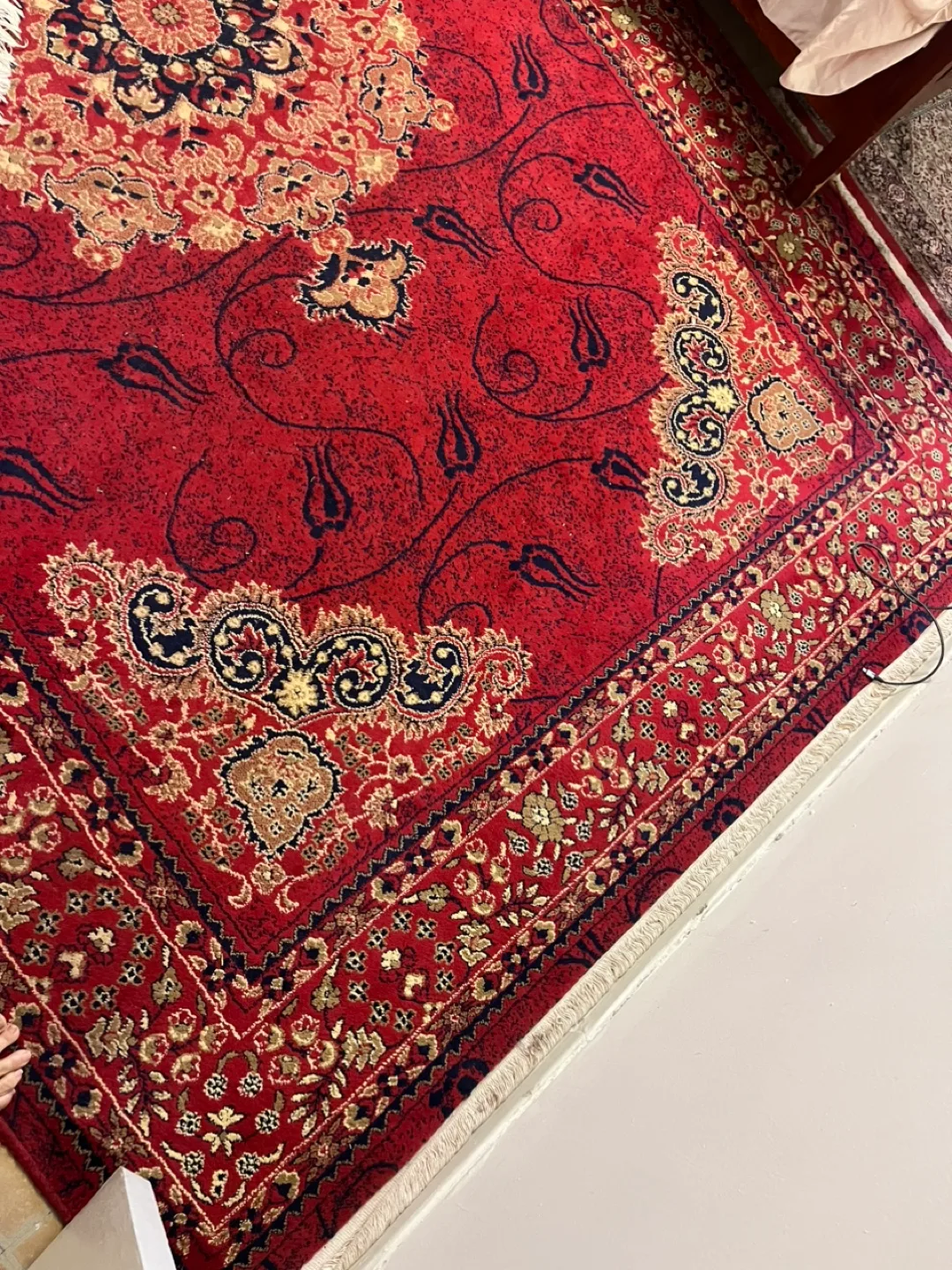 Red Patterned Area Rug thumbnail