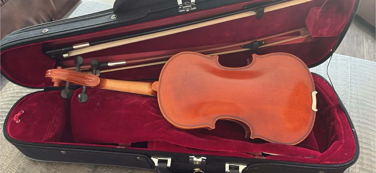 Eastman violin vl80 size 1/4 age 2020 image indicator(5)