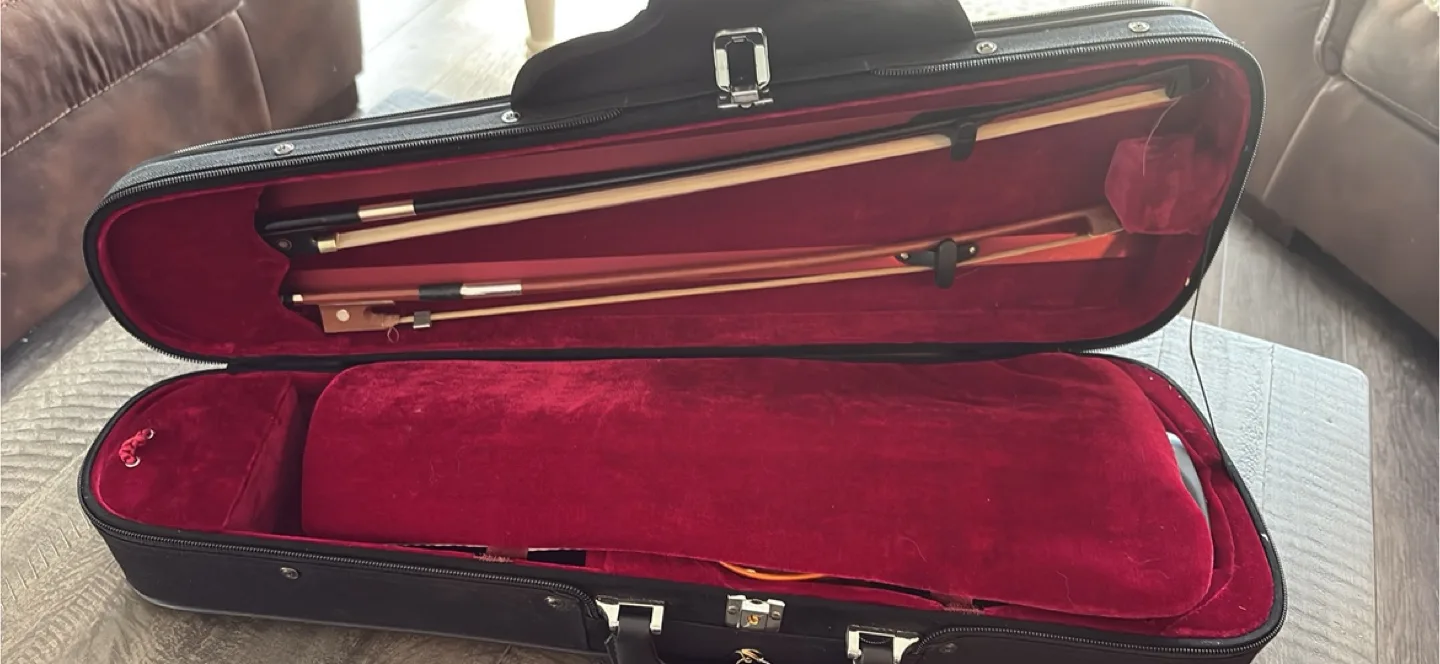 Eastman violin vl80 size 1/4 age 2020 image indicator(2)