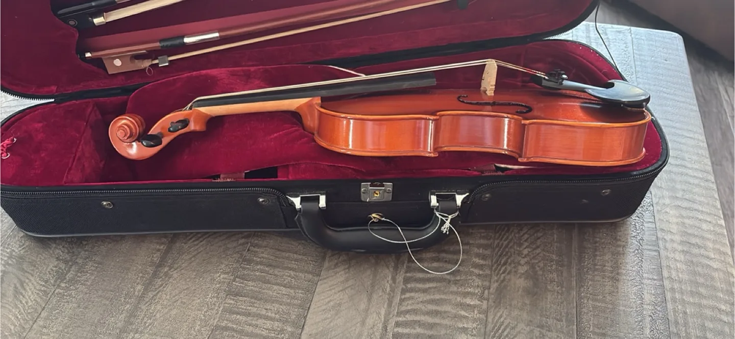 Eastman violin vl80 size 1/4 age 2020 image indicator(4)