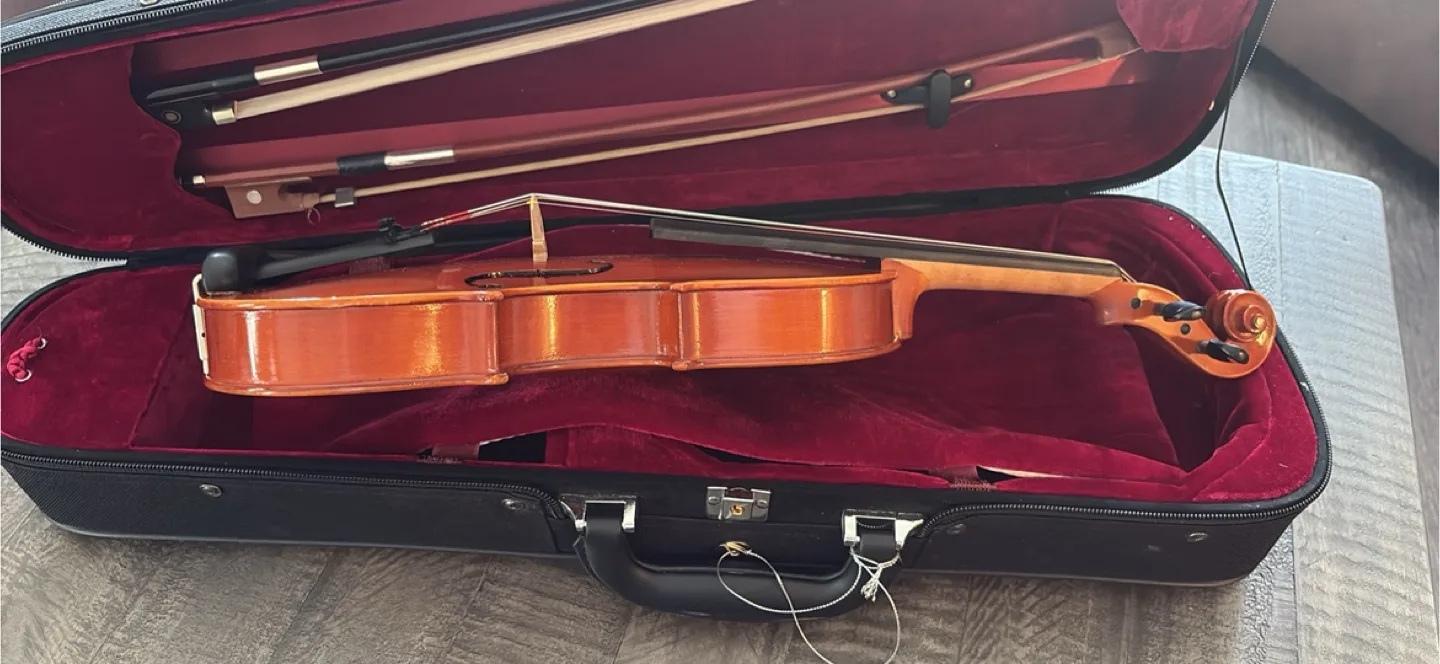 Eastman violin vl80 size 1/4 age 2020 image indicator(3)