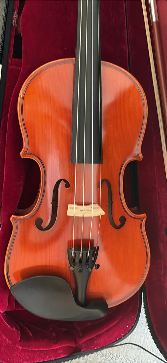 Eastman violin vl80 size 1/4 age 2020 image indicator(6)