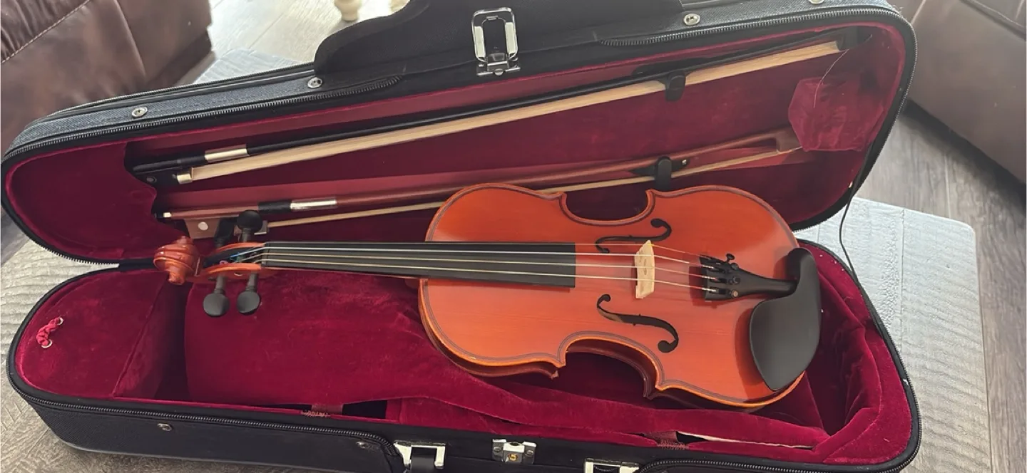 Eastman violin vl80 size 1/4 age 2020 image indicator(7)