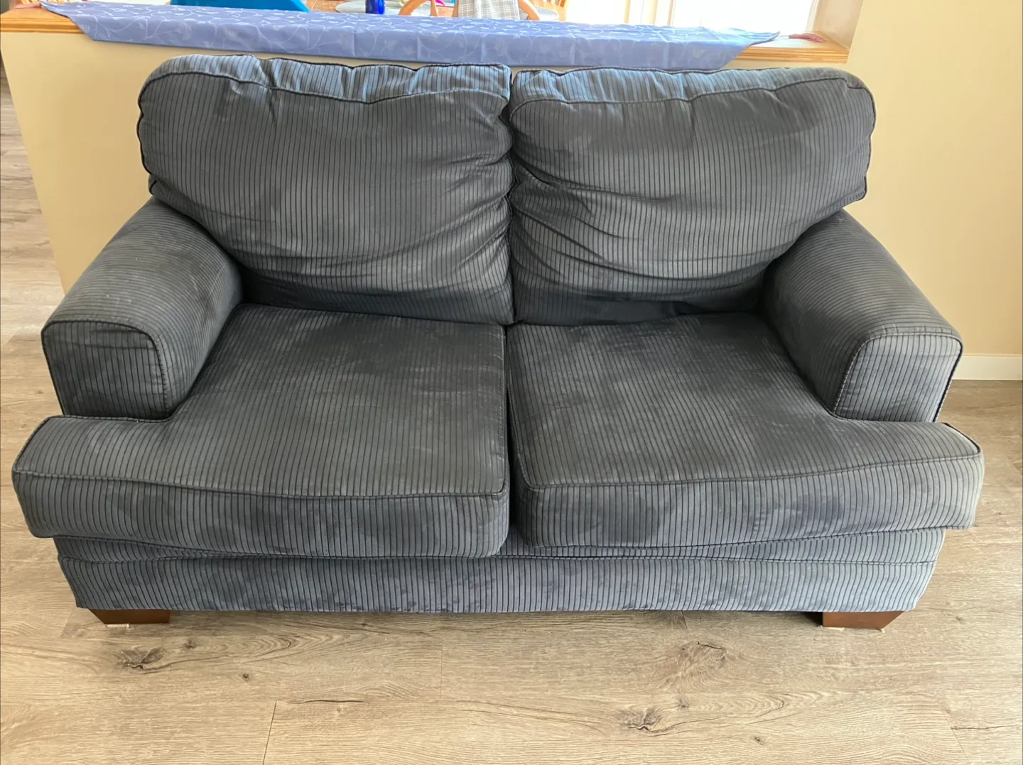 Very Comfy Loveseat and oversized Armchair Set image indicator(3)