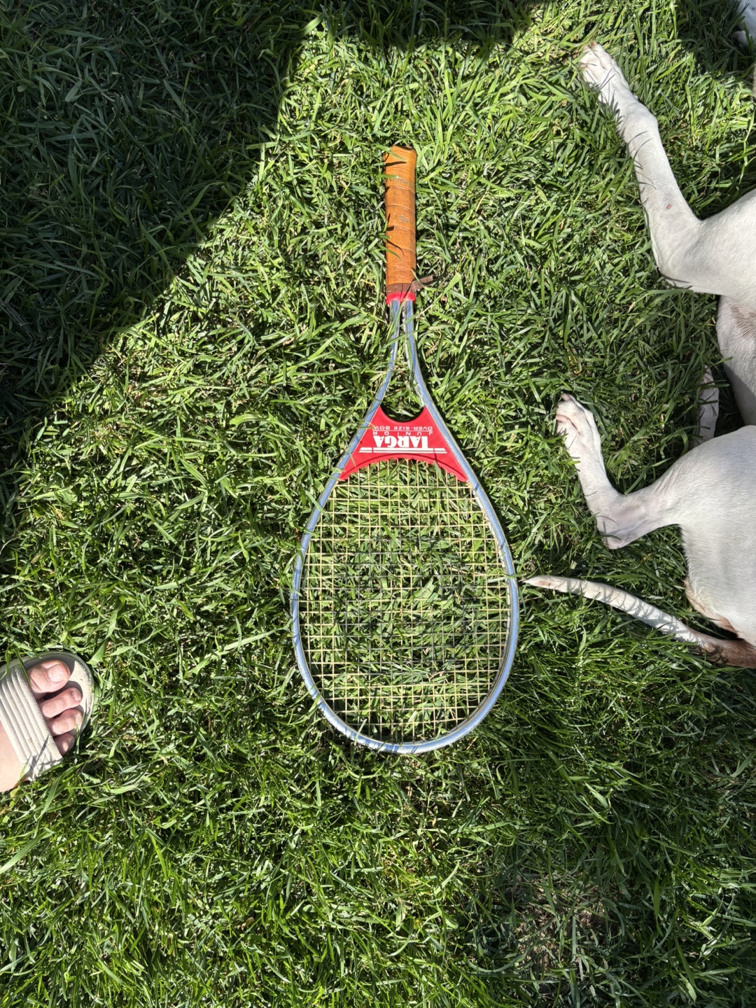 Targa Over-Size Bow Tennis Racquet