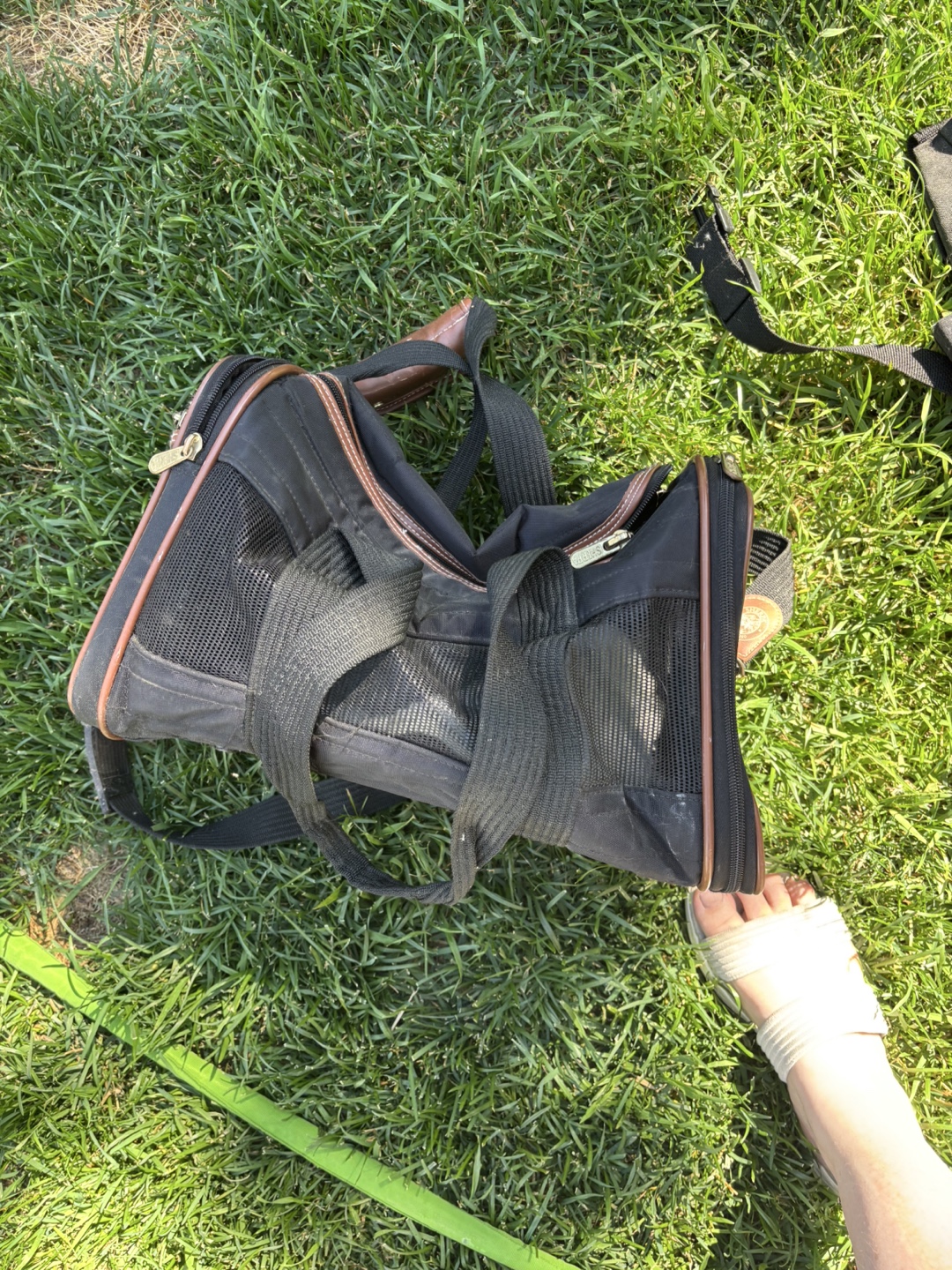 Vintage Samsonite Black Pet Carrier
