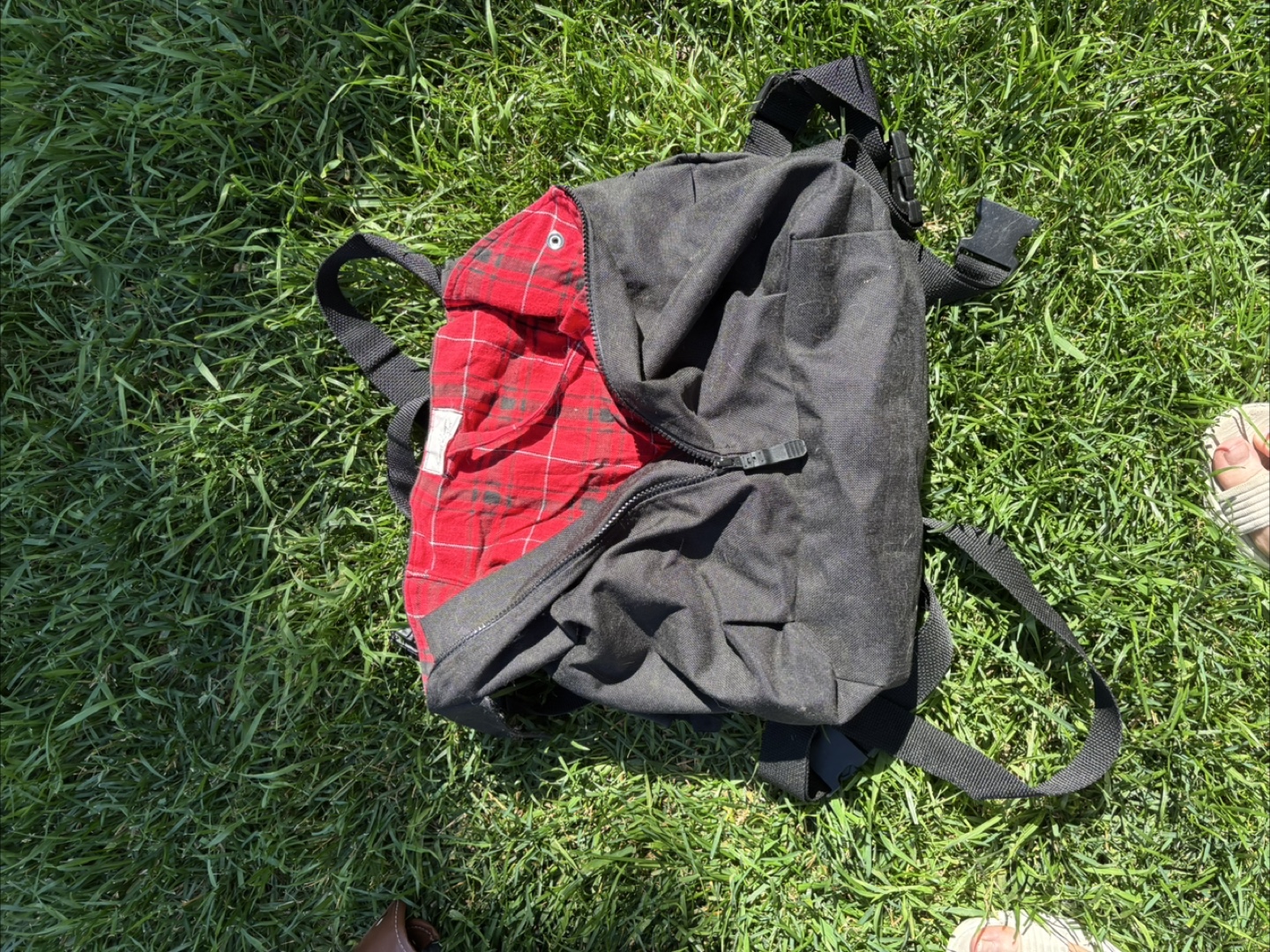Black dog, cat Backpack with Red Plaid Interior
