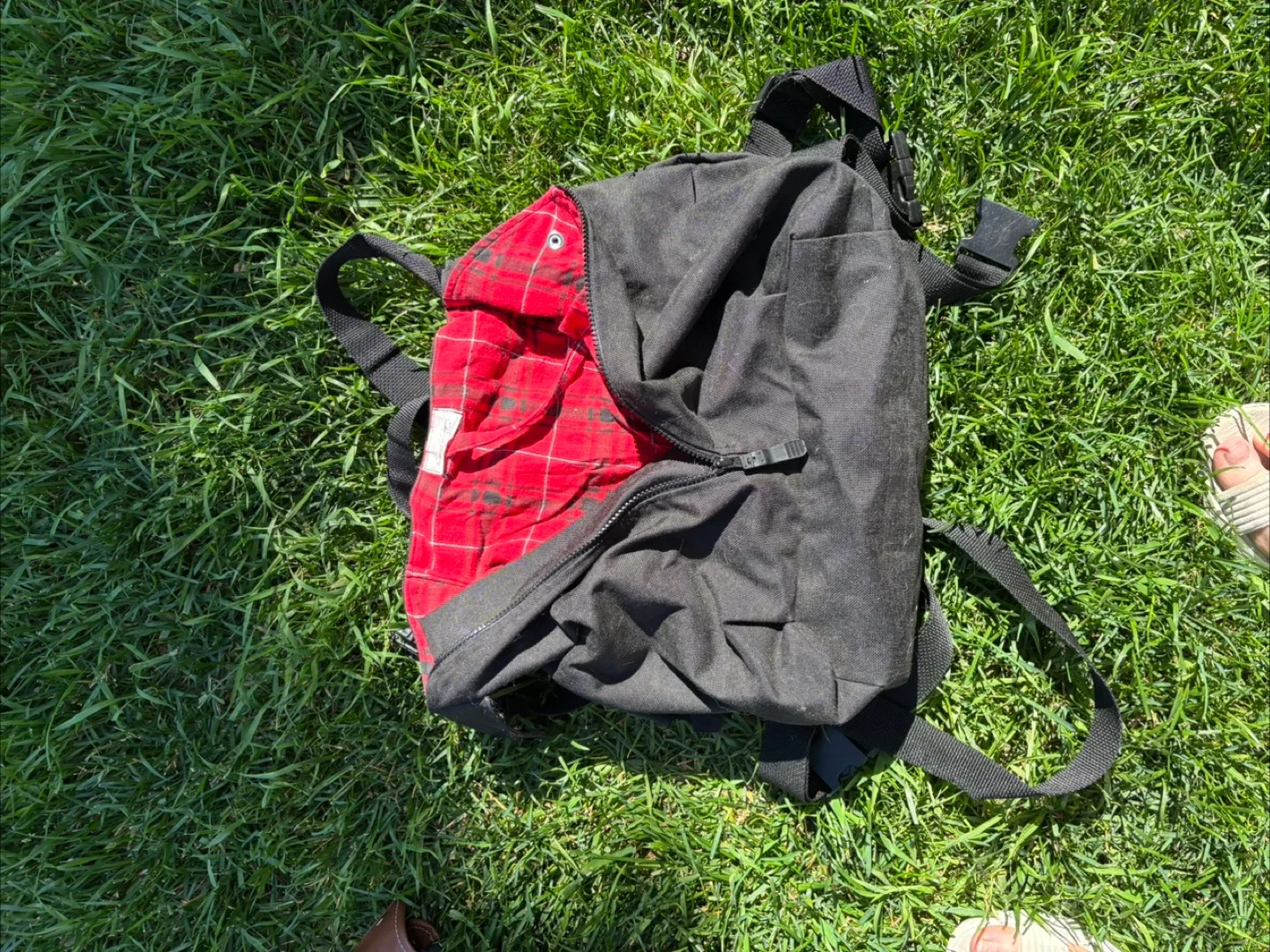 Black dog, cat Backpack with Red Plaid Interior thumbnail