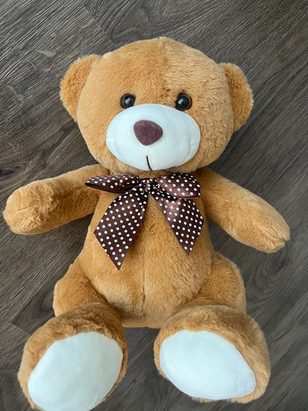 Cute Brown Teddy Bear with Bow thumbnail