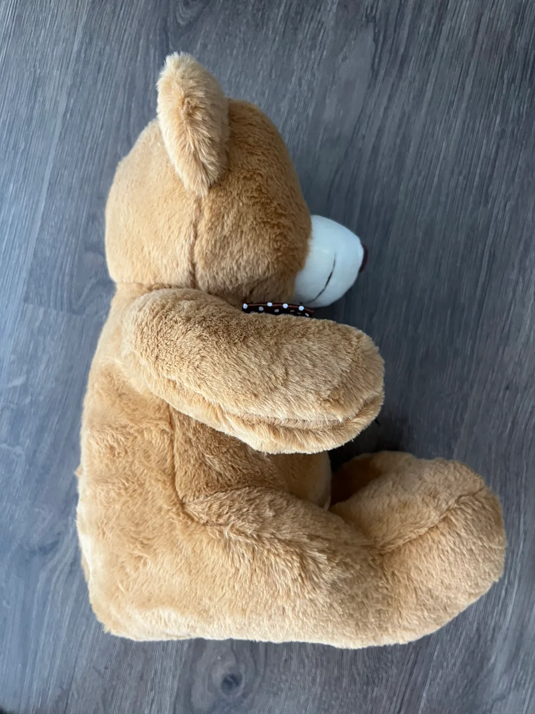 Cute Brown Teddy Bear with Bow image indicator(3)