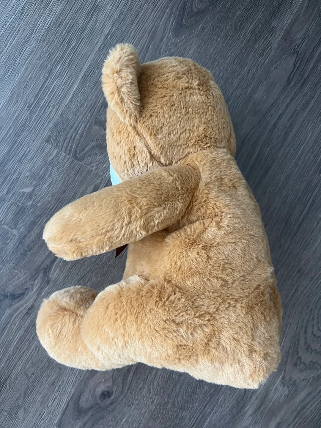 Cute Brown Teddy Bear with Bow image indicator(2)