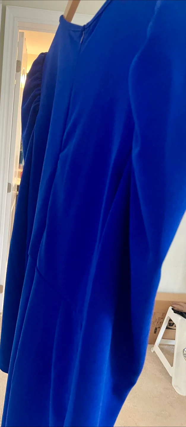 Blue Puff Sleeve Dress image indicator(3)