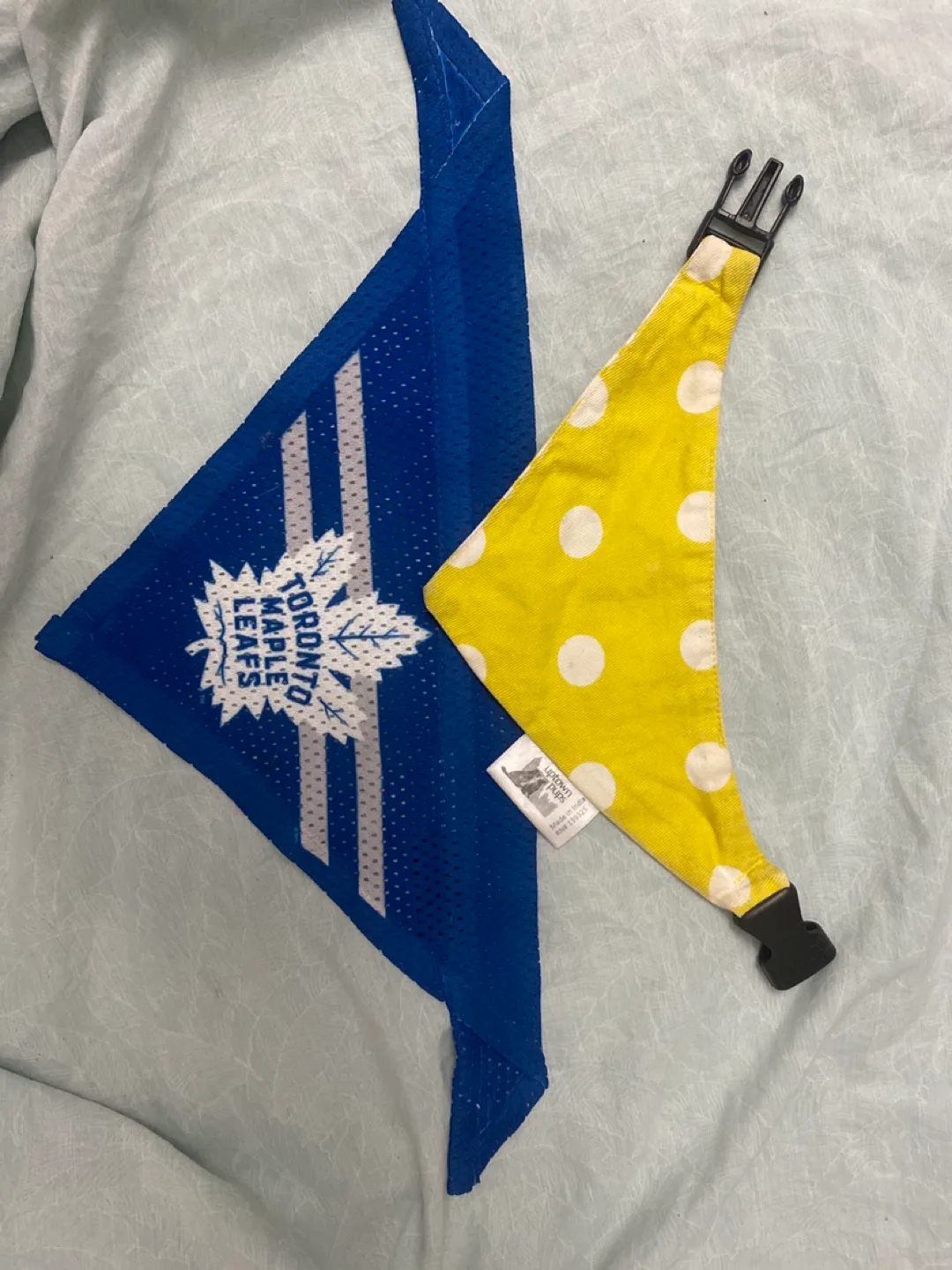 XS Dog Bandana thumbnail