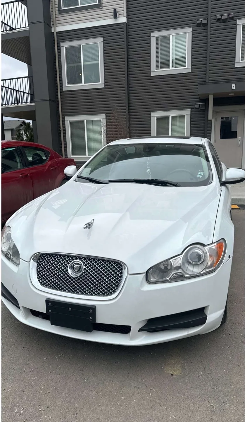 White Jaguar XF Sedan image indicator(2)