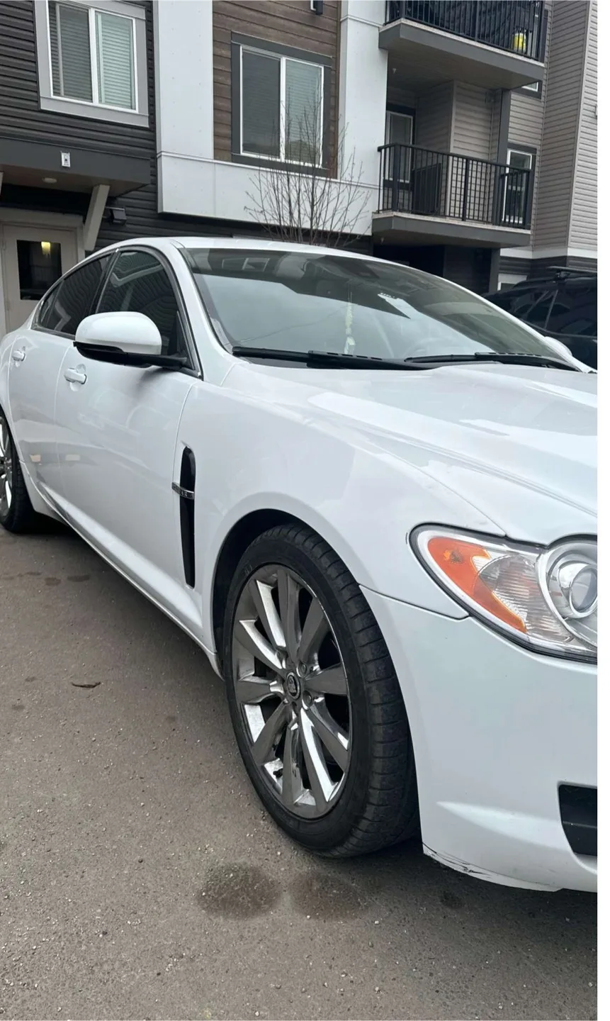 White Jaguar XF Sedan thumbnail