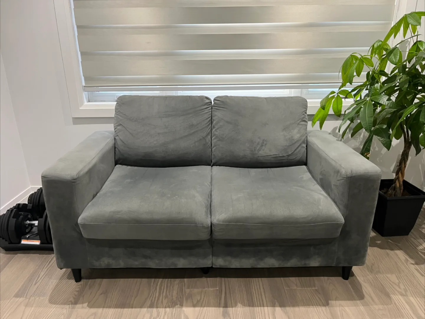 Gray Loveseat Sofa image indicator(2)