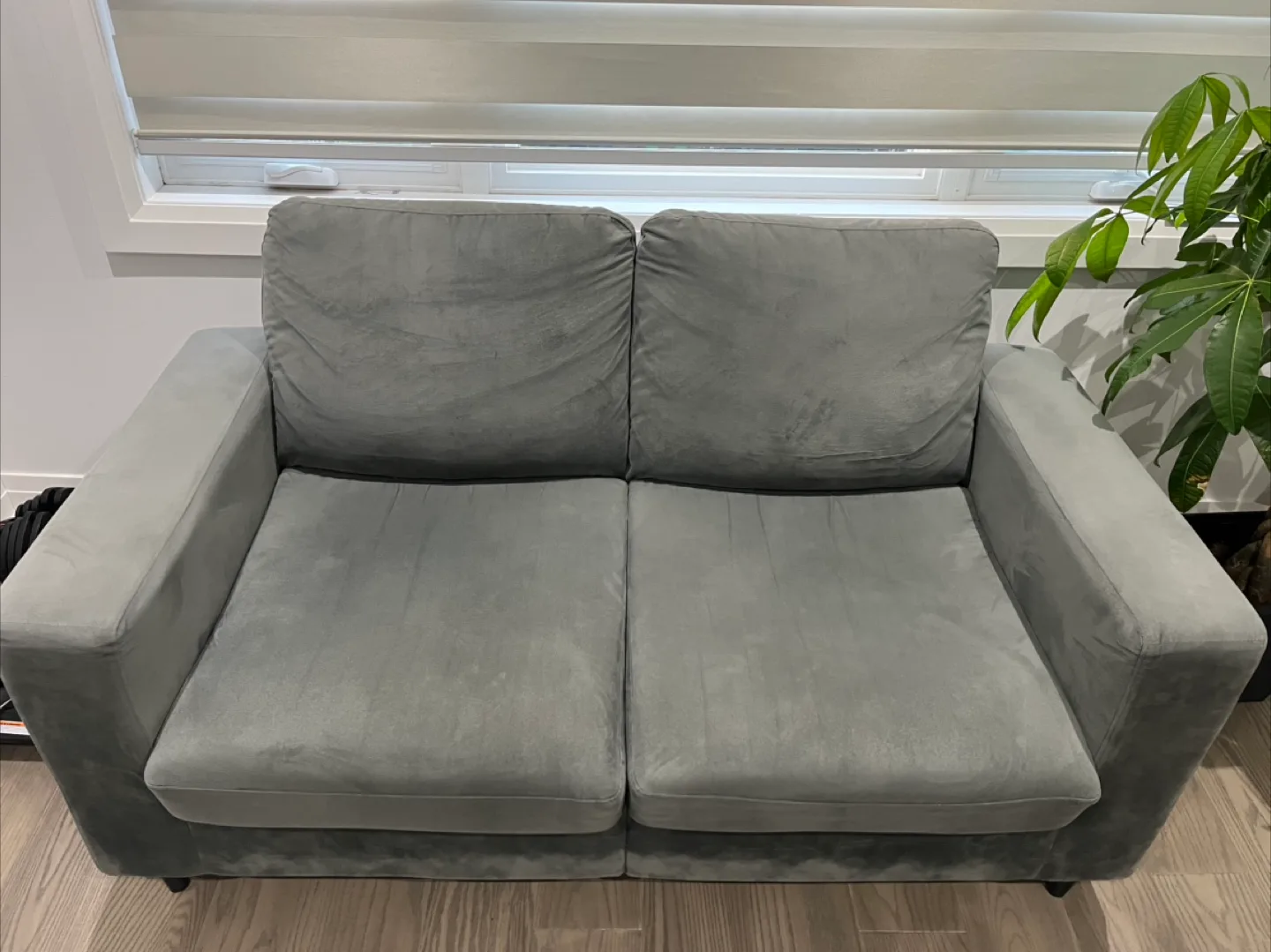 Gray Loveseat Sofa image indicator(3)