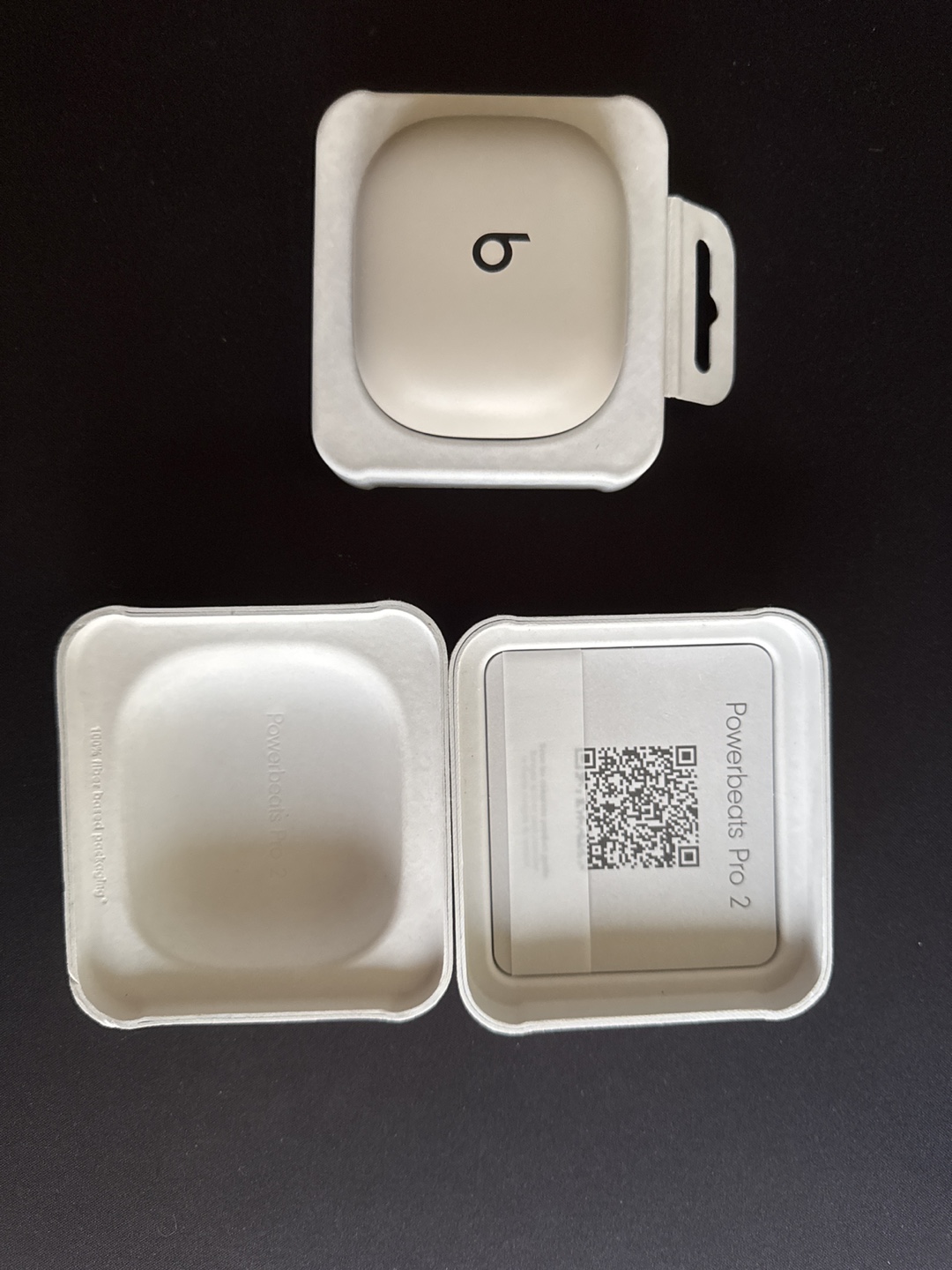 Beats Powerbeats Pro 2 - Quick Sand - photo 4