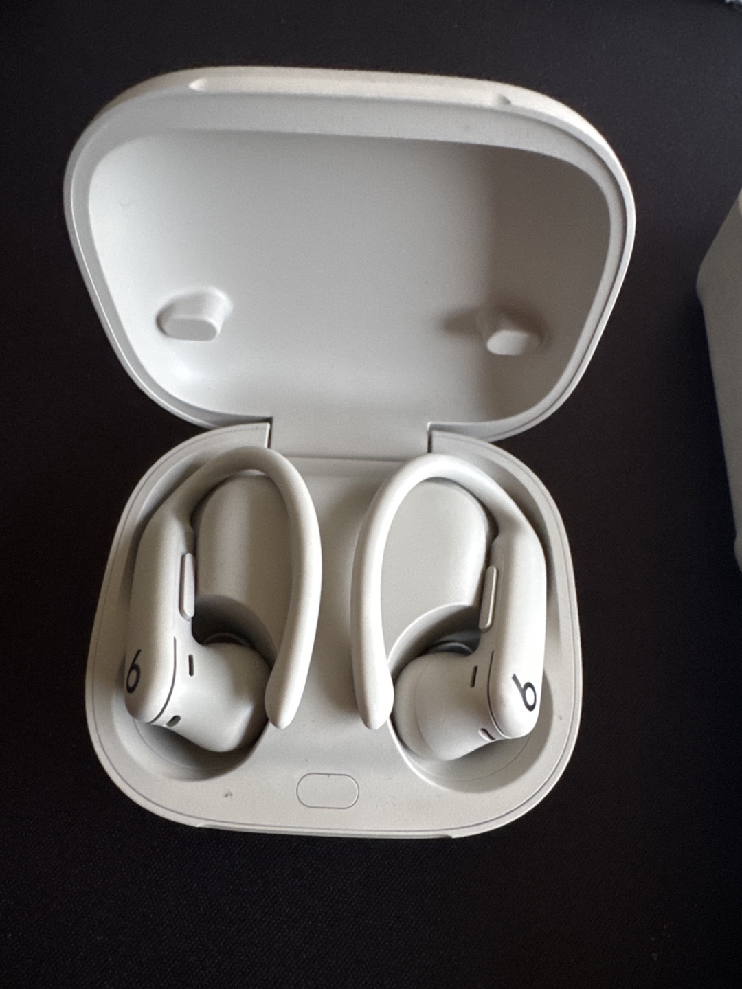 Beats Powerbeats Pro 2 - Quick Sand - photo 2