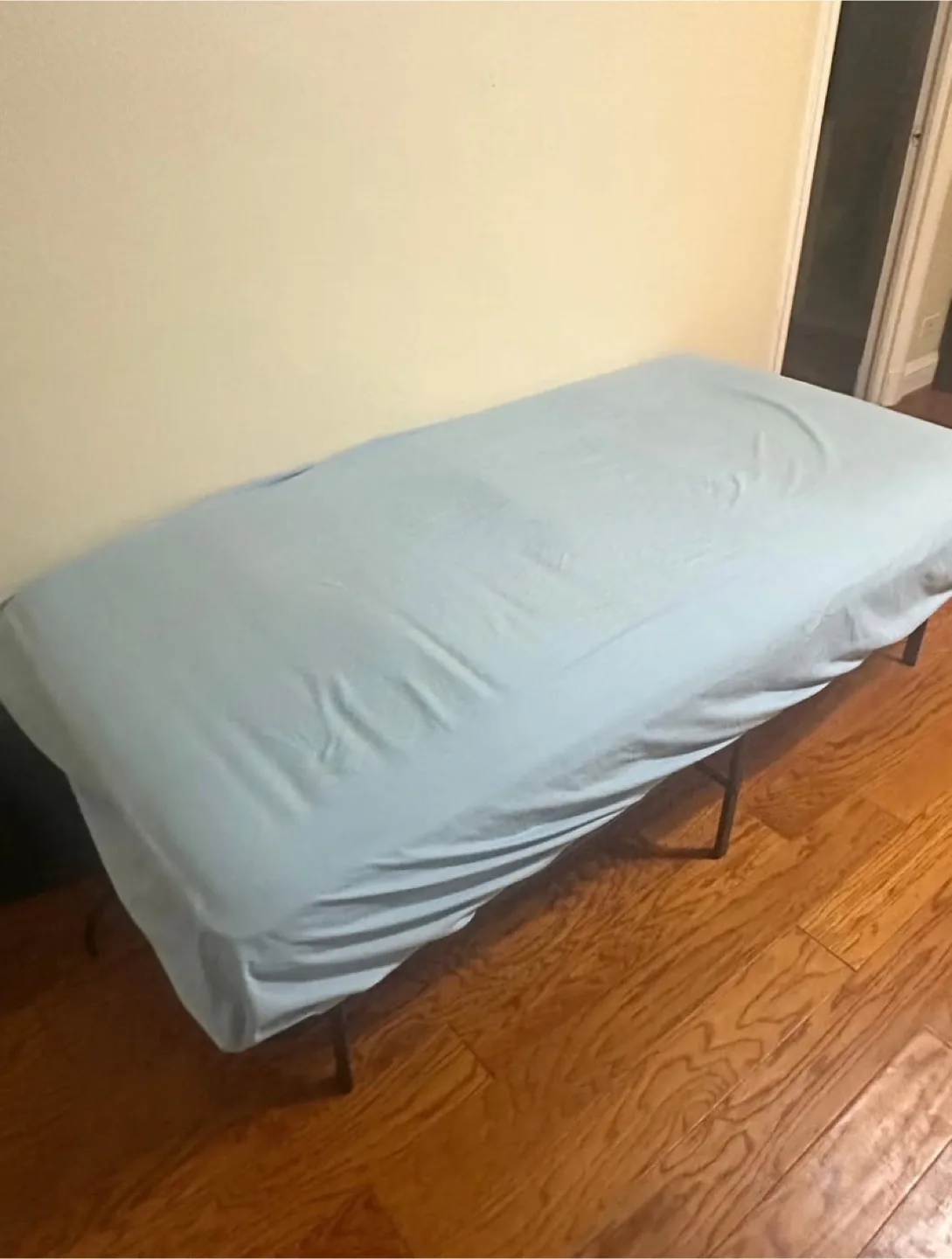 Twin Size Metal Bed Frame and Mattress thumbnail
