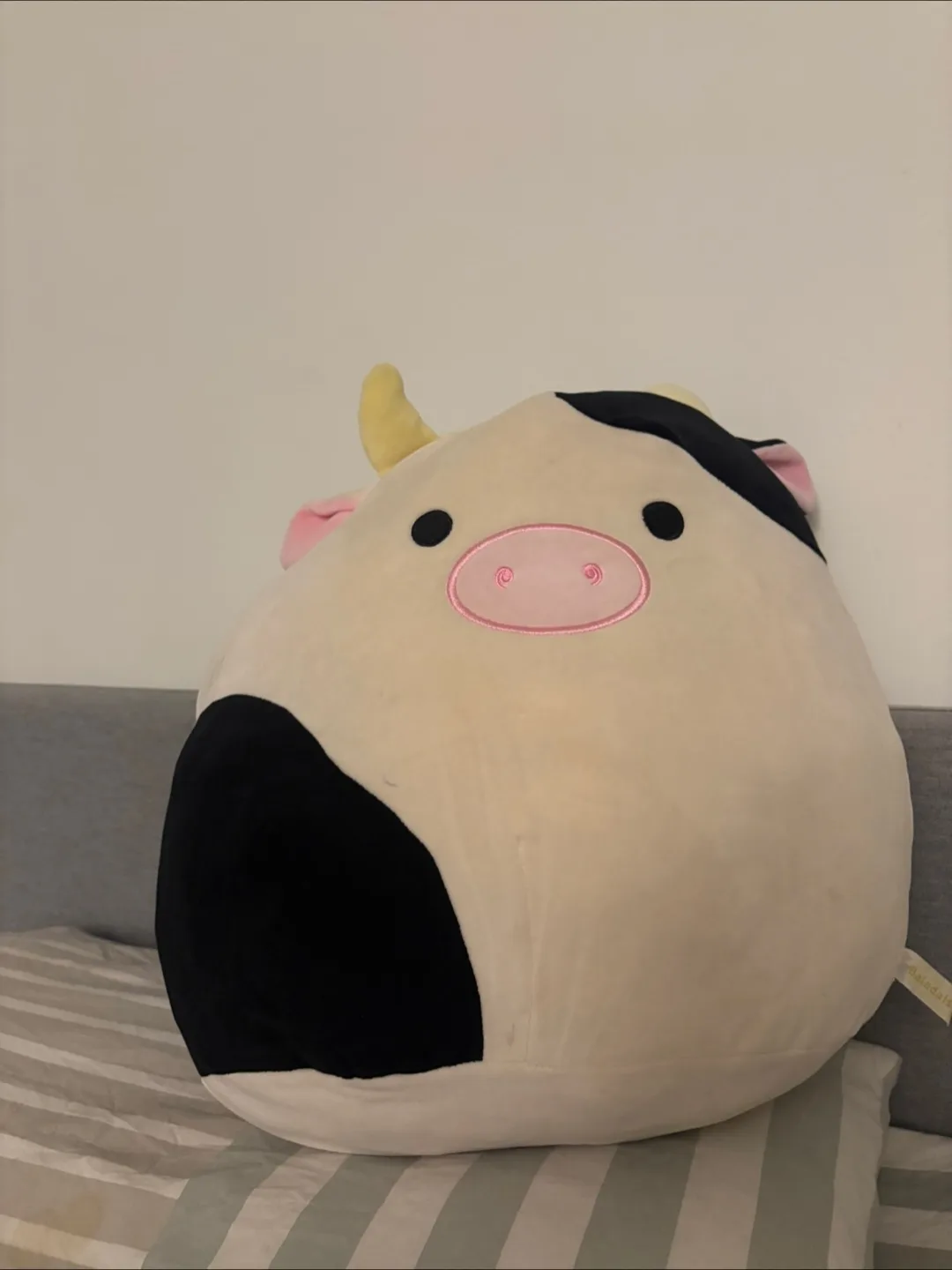 Squishmallows Connor the Cow Plush thumbnail