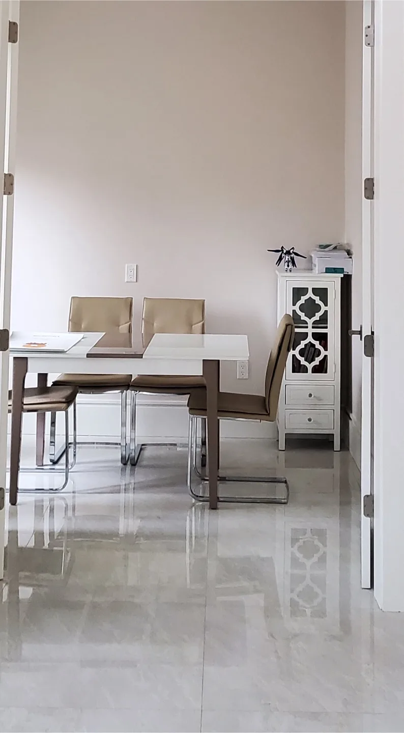 Modern Beige Dining Chairs (Set of 4) image indicator(2)