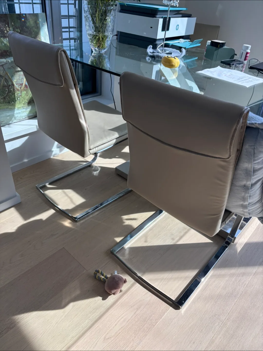 Modern Beige Dining Chairs (Set of 4) image indicator(5)