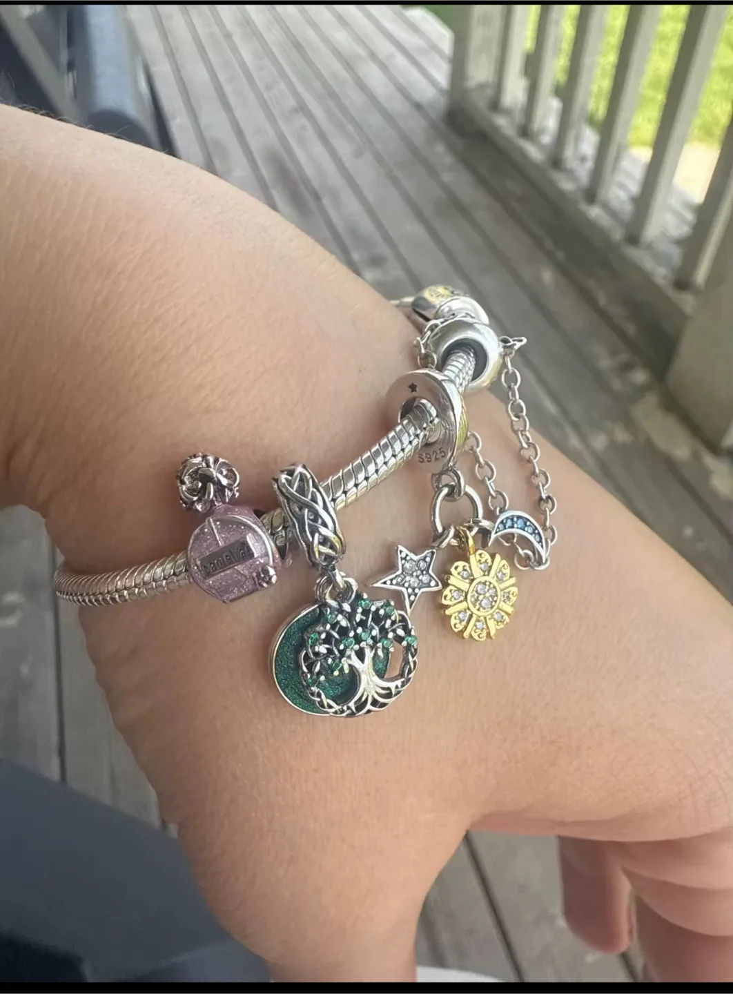 Charm with bracelet image indicator(2)