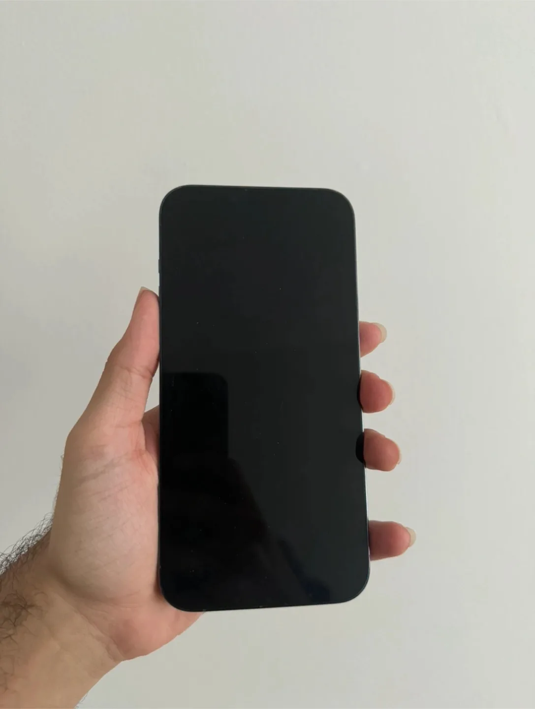 iPhone 13 Pro Max image indicator(3)