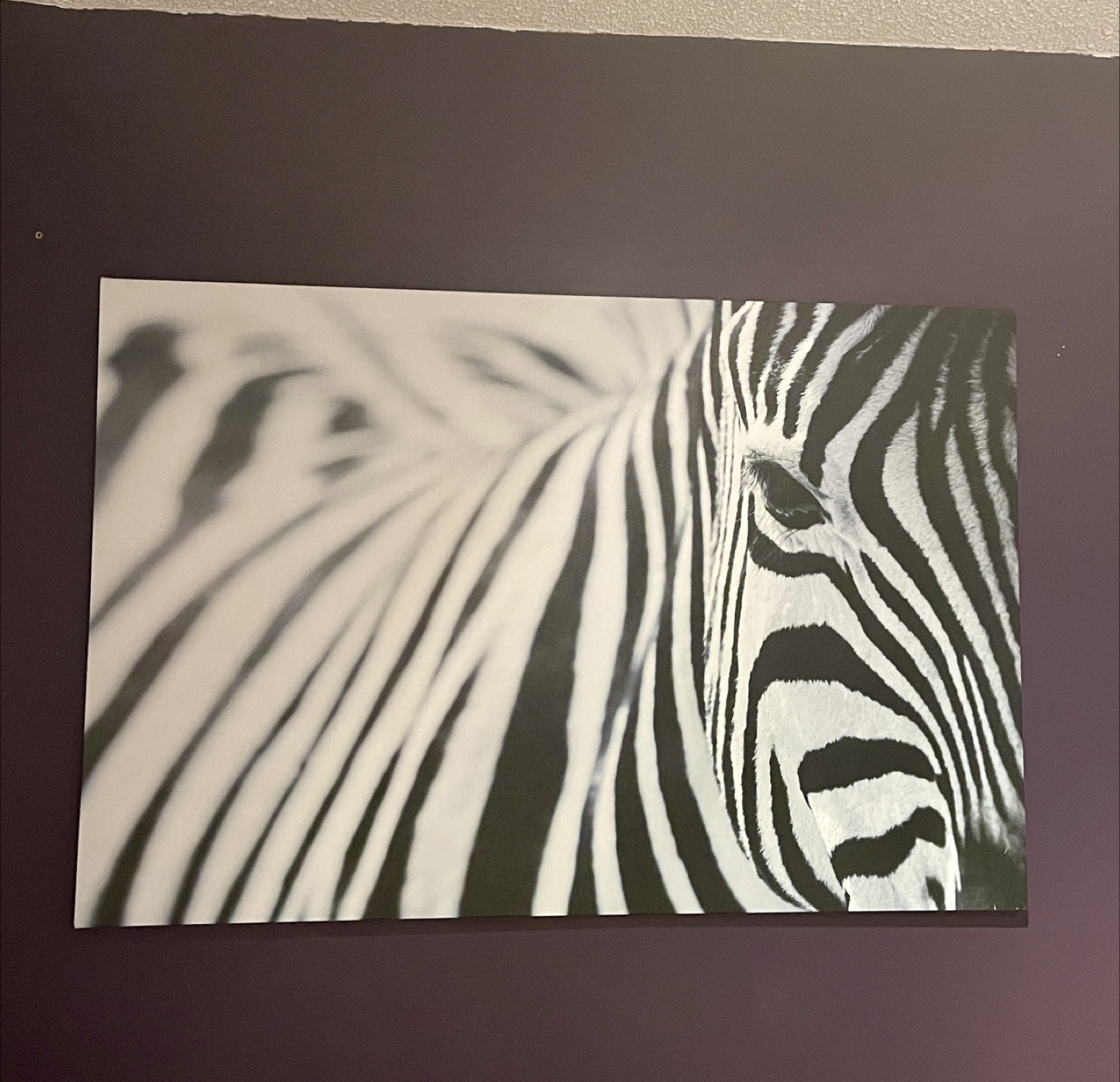 Zebra wall art
