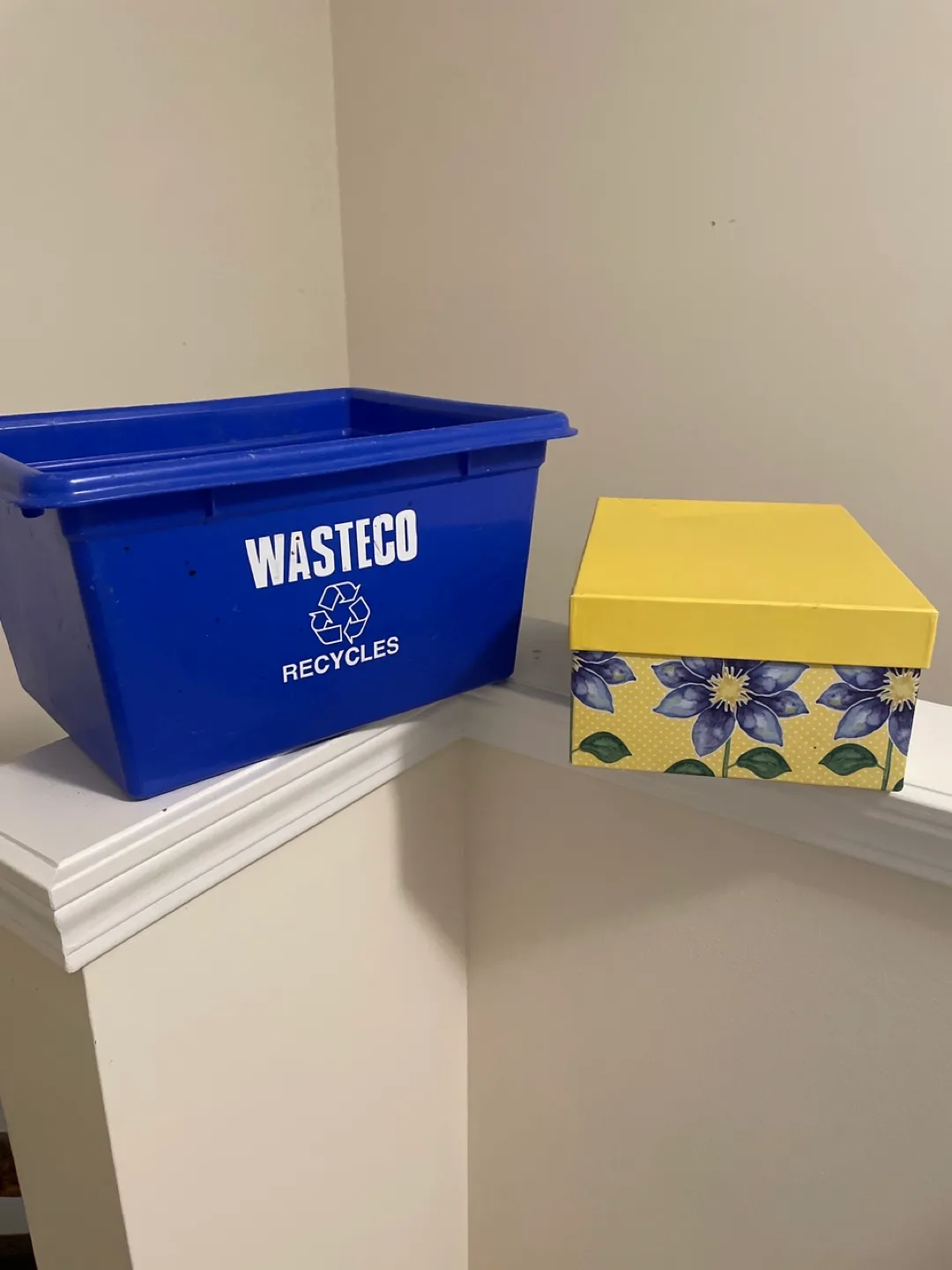 Wasteco Blue Recycle Bin and storage box like new thumbnail
