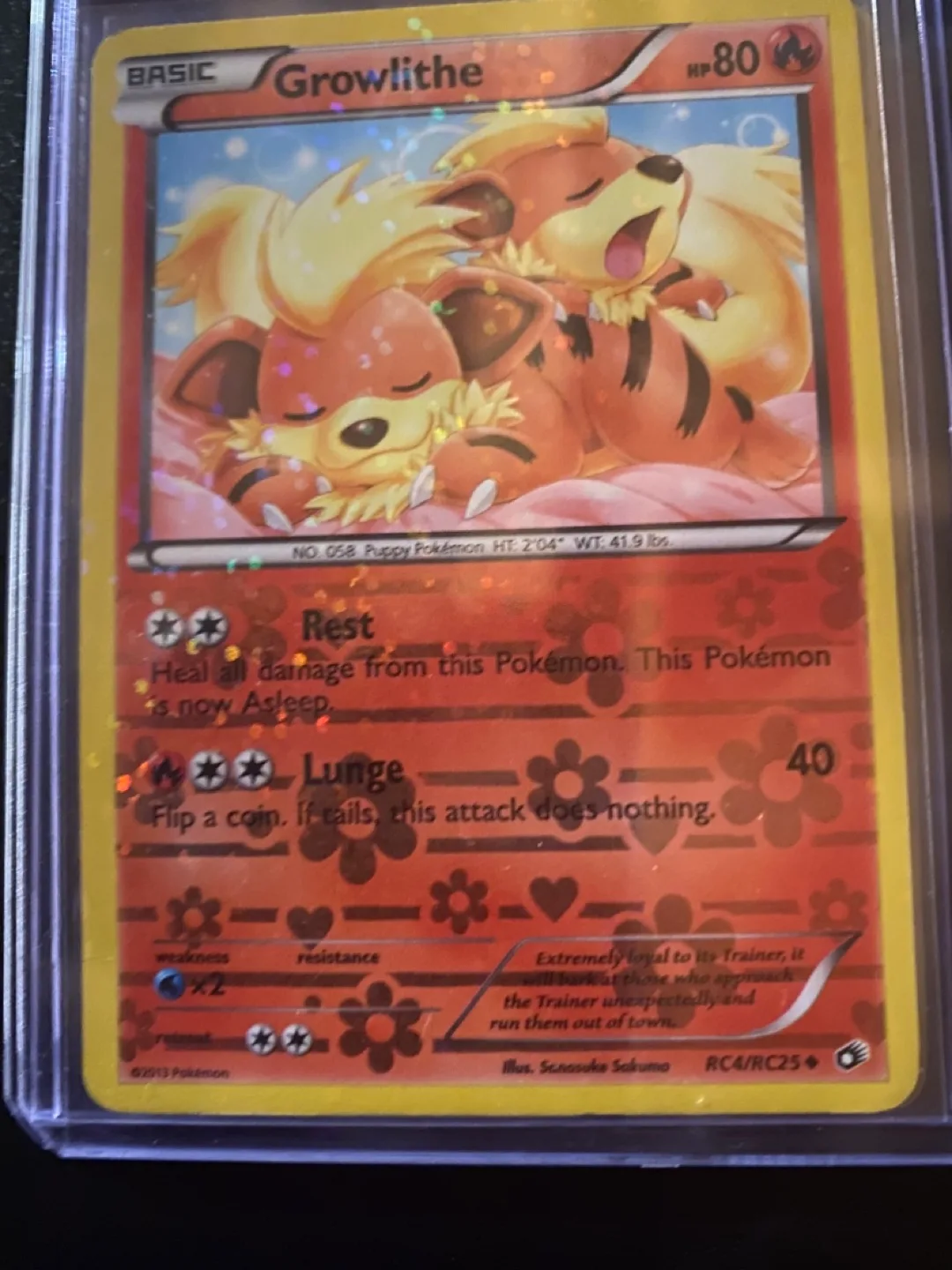 Pokemon Trading Cards - Rare Finds! image indicator(3)