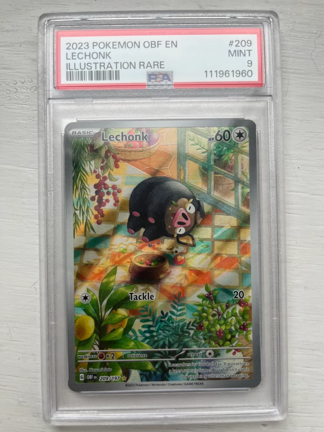 Lechonk Illustration Rare Pokemon Card - Mint Condition! thumbnail