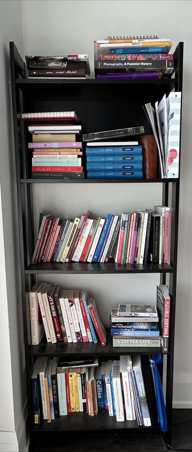 IKEA LAIVA Bookcase - Black-Brown