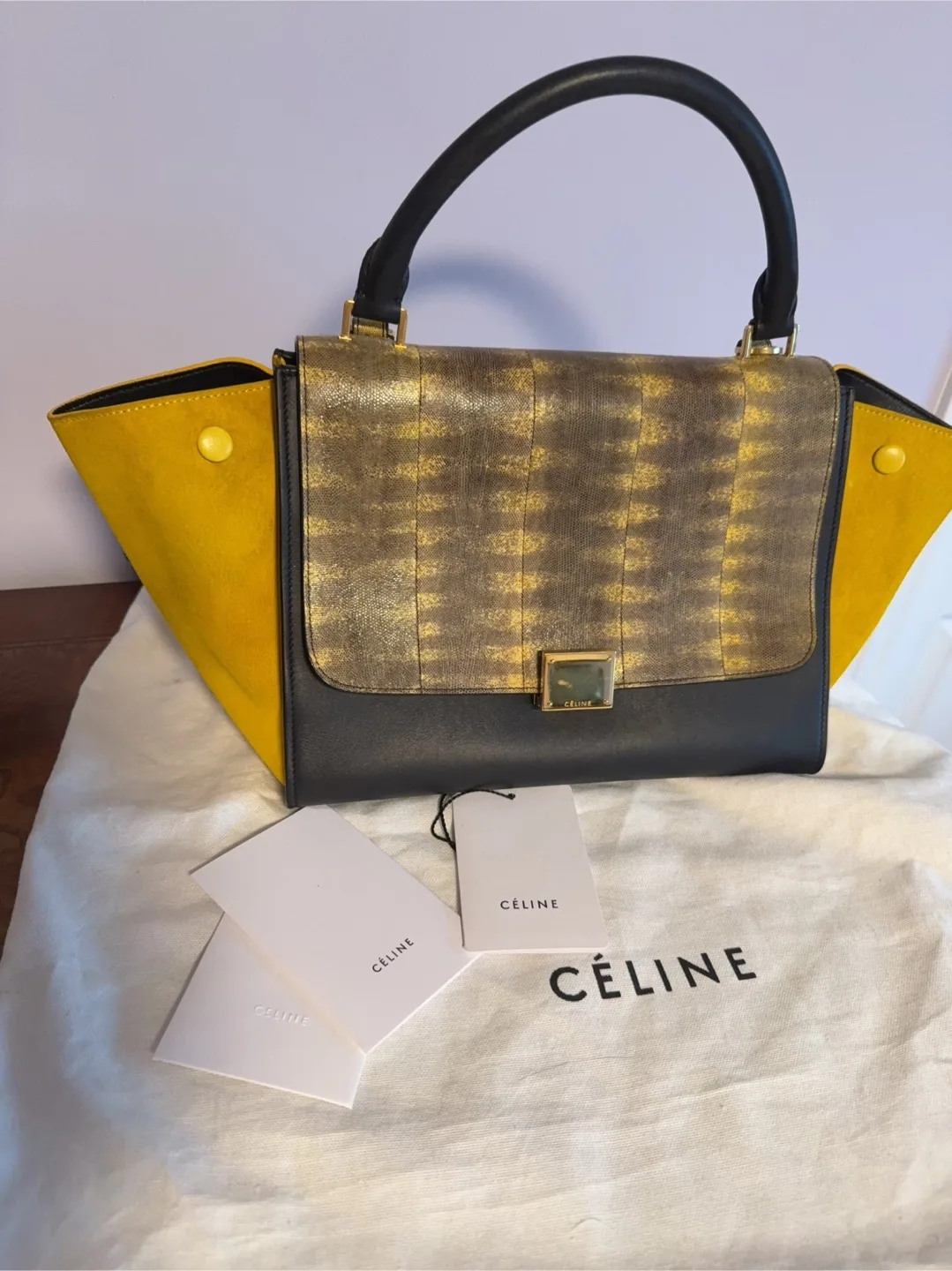 Celine Black Calfskin and Yellow Accents Trapeze bag image indicator(10)