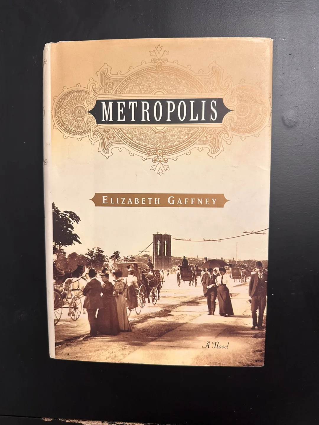 Metropolis by Elizabeth Gaffney - A Novel thumbnail