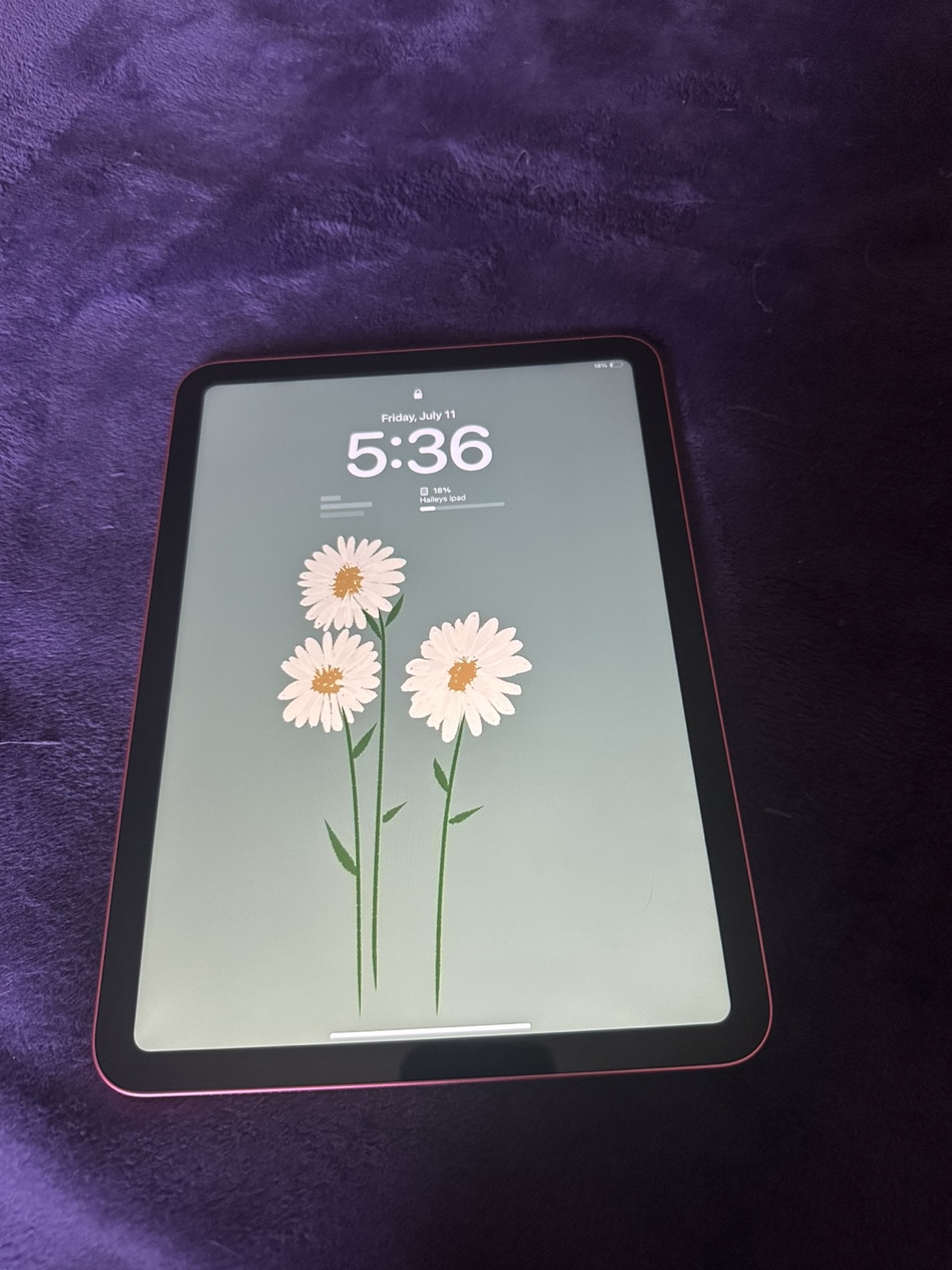 iPad A16 (newest Gen)