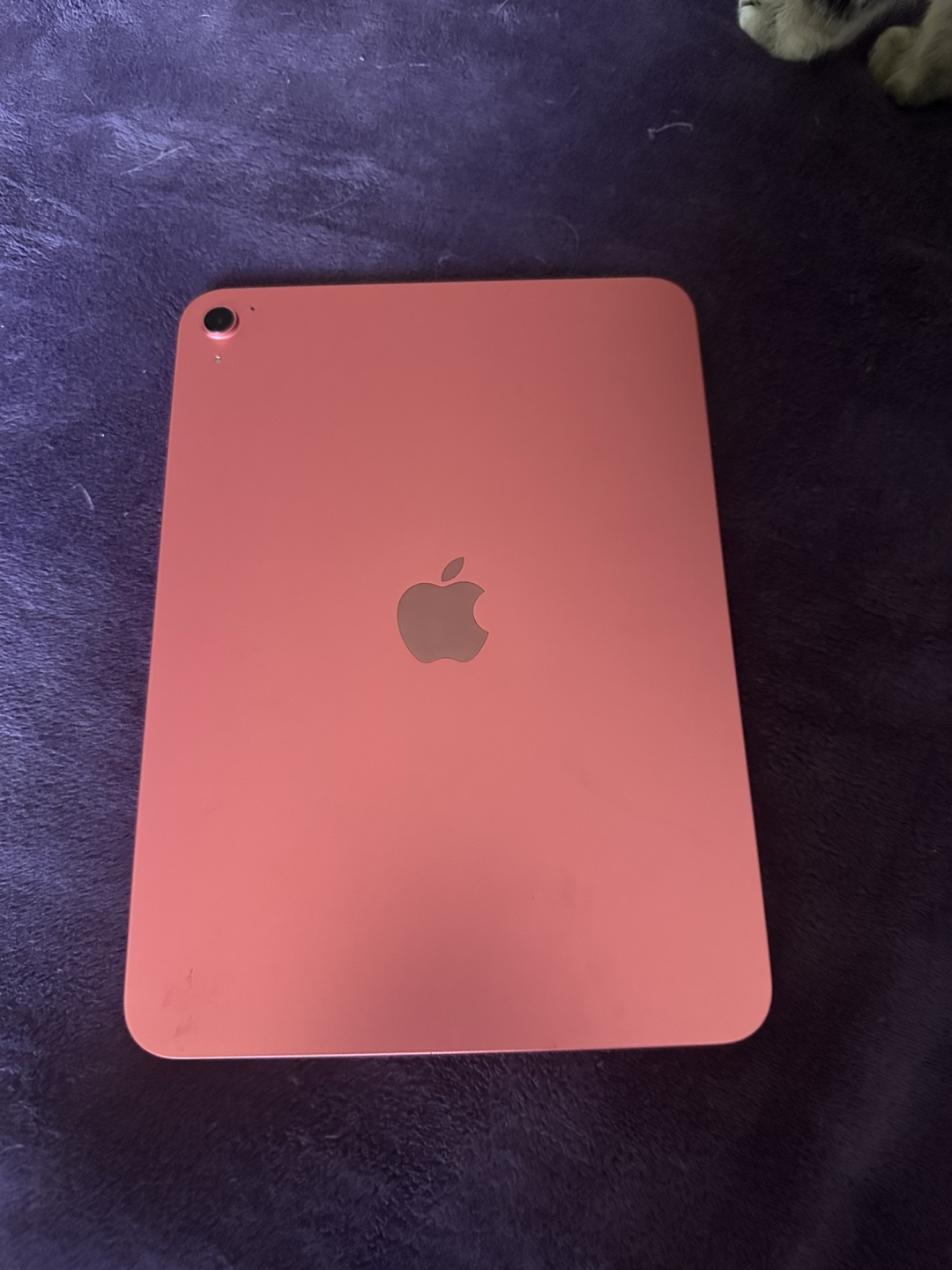 iPad A16 (newest Gen) - photo 2