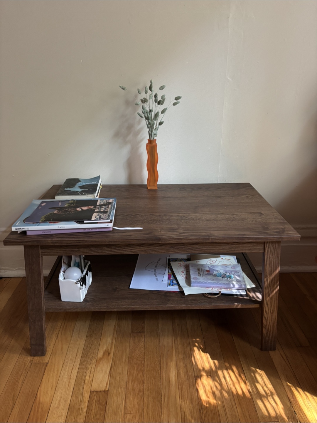 Vintage Brown Wooden Coffee Table with Shelf