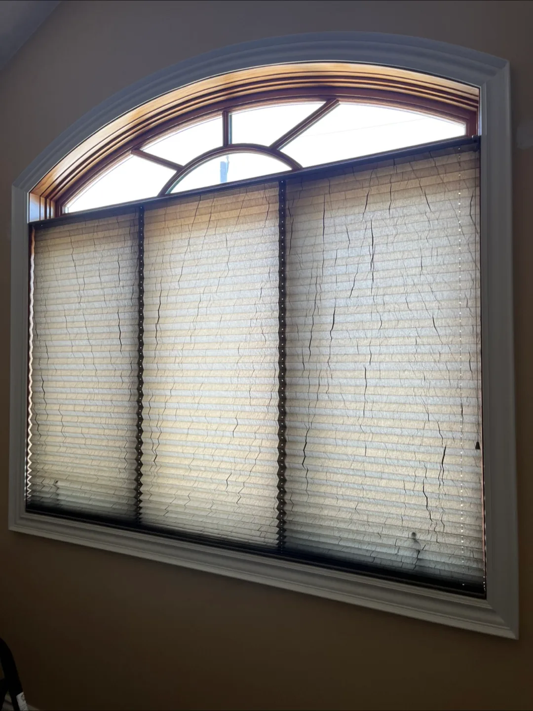 Levolor Pleated Window Blinds thumbnail