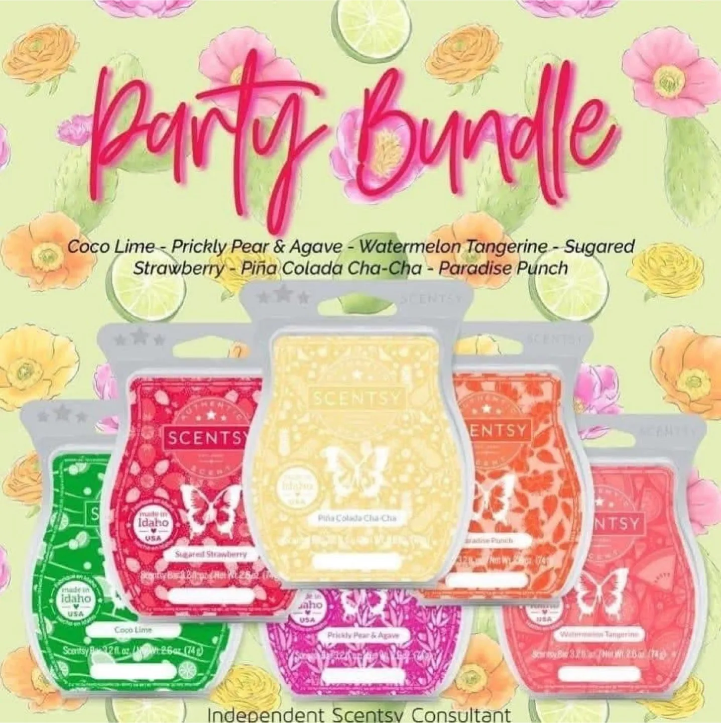 Scentsy Party Bundle! thumbnail