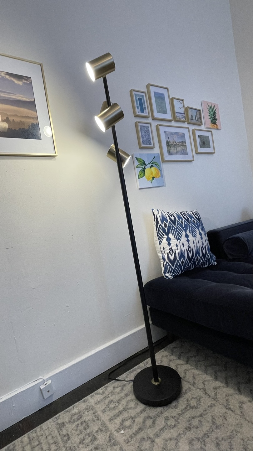 Black & Brass Floor Lamp