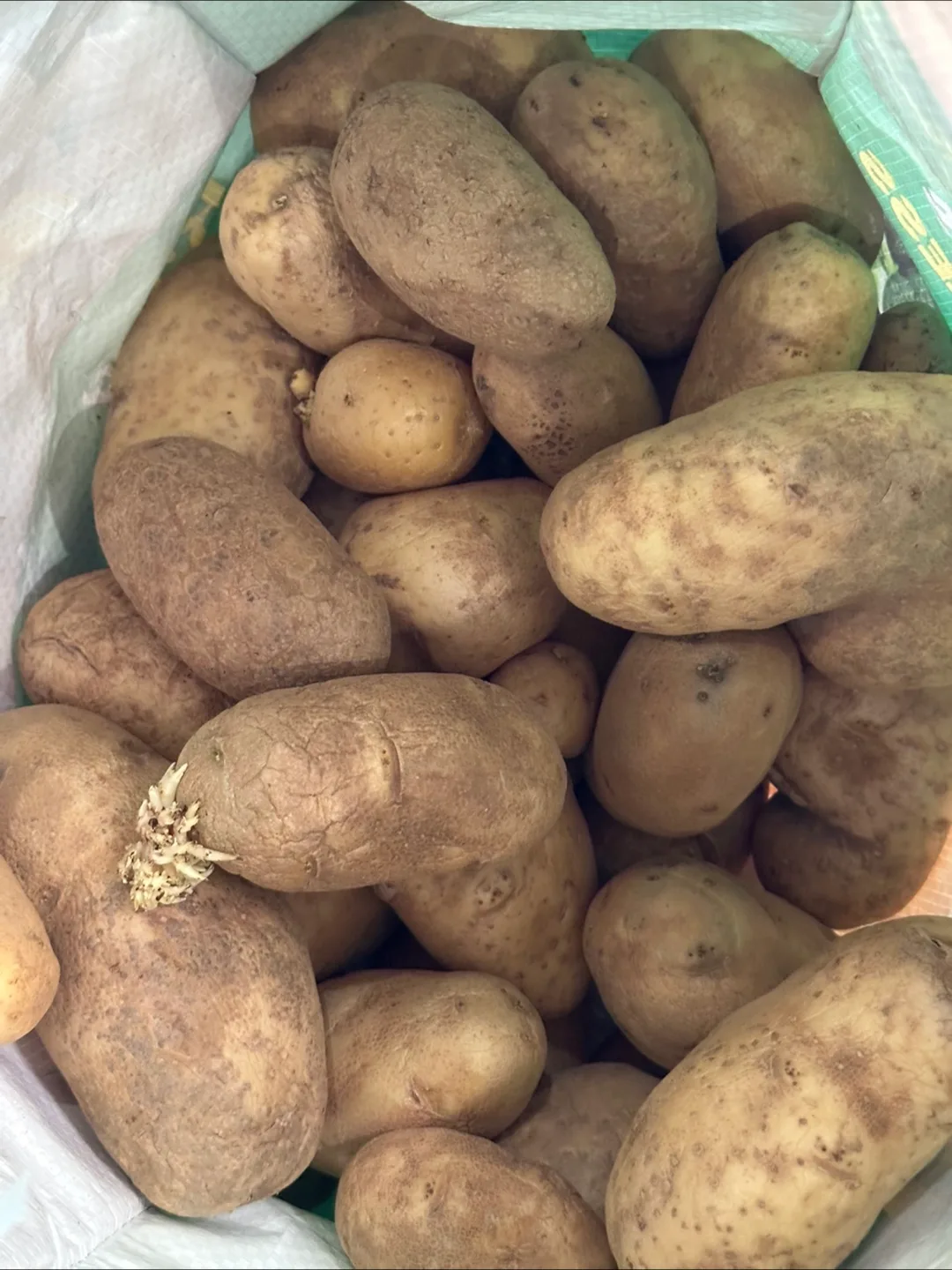 Bag of Potatoes thumbnail