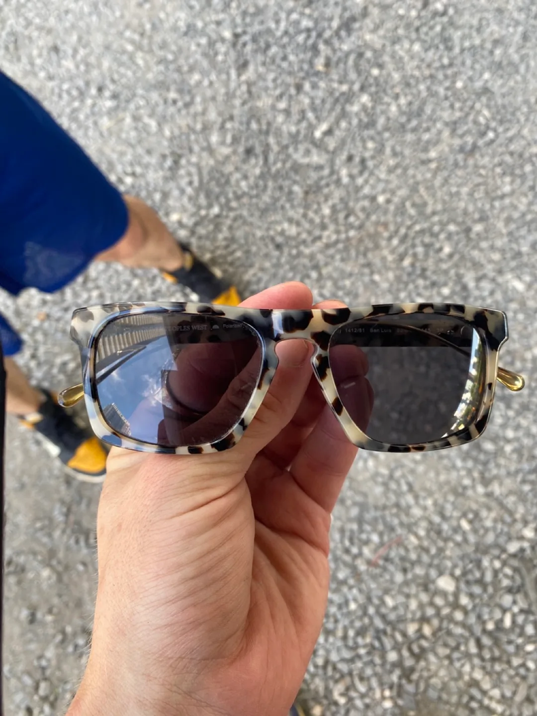 Oliver Peoples West Polarized Sunglasses image indicator(2)